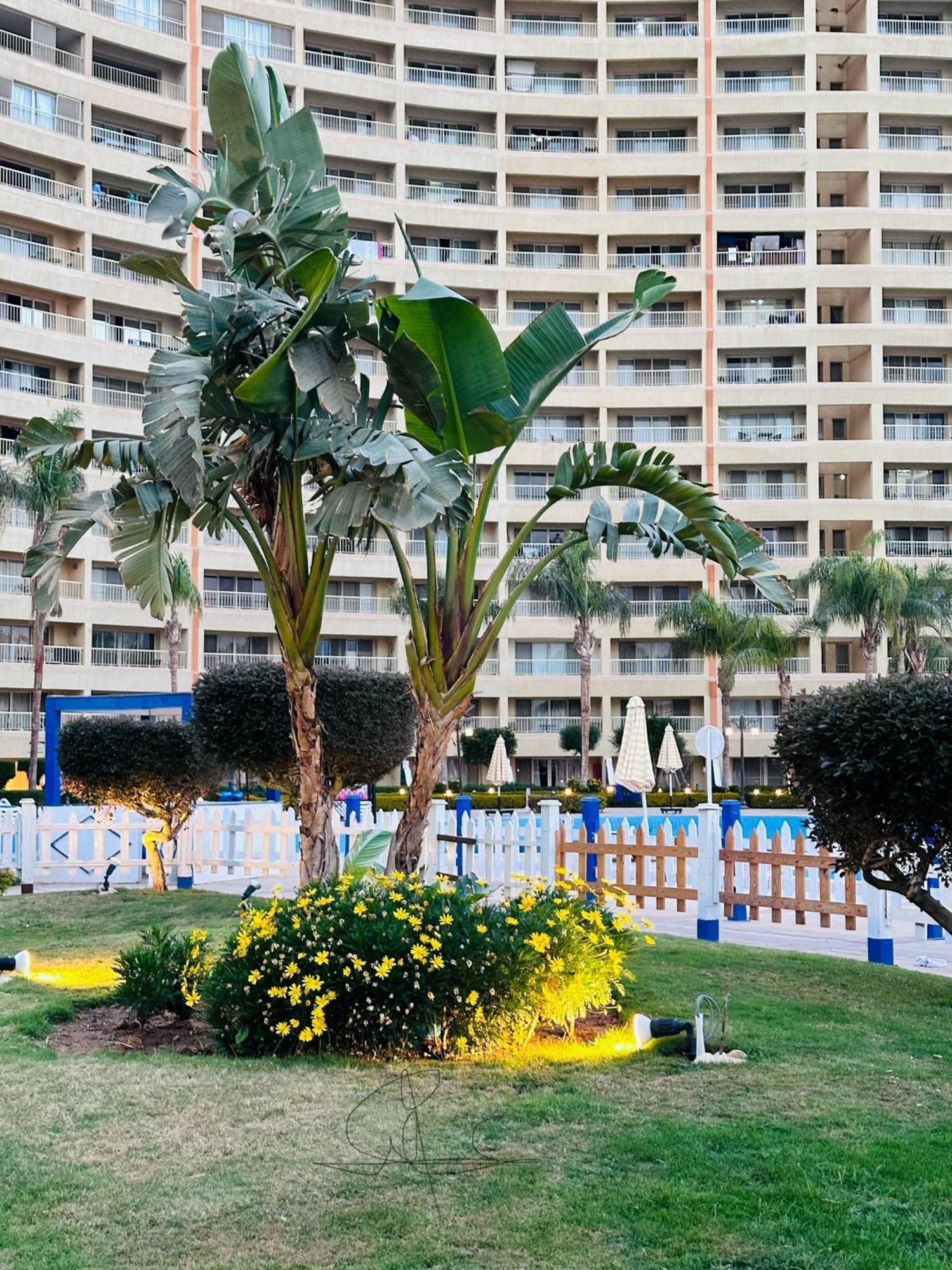 Chalet In Porto Sokhna Beach Resort Ajn Suchna Zewnętrze zdjęcie